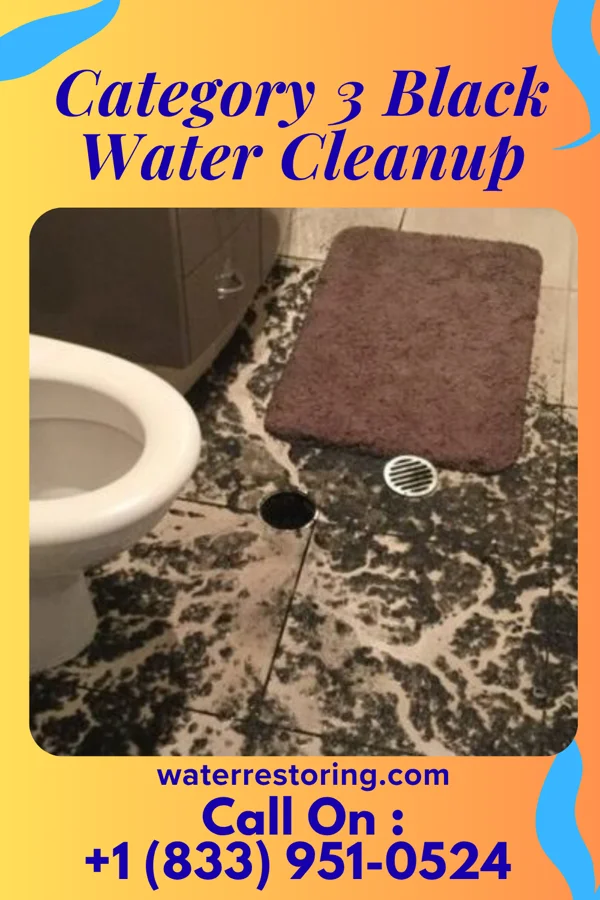 Category 3 Black Water Cleanup in Standing Pine, MS