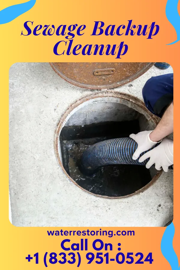 Sewage Backup Cleanup in Standing Pine, MS
